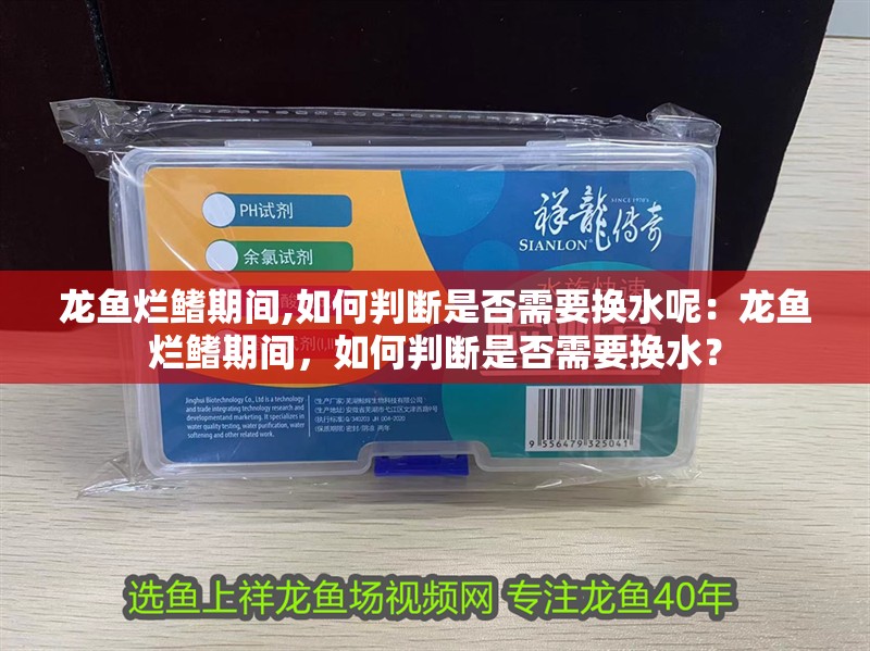 龍魚爛鰭期間,如何判斷是否需要換水呢：龍魚爛鰭期間，如何判斷是否需要換水？