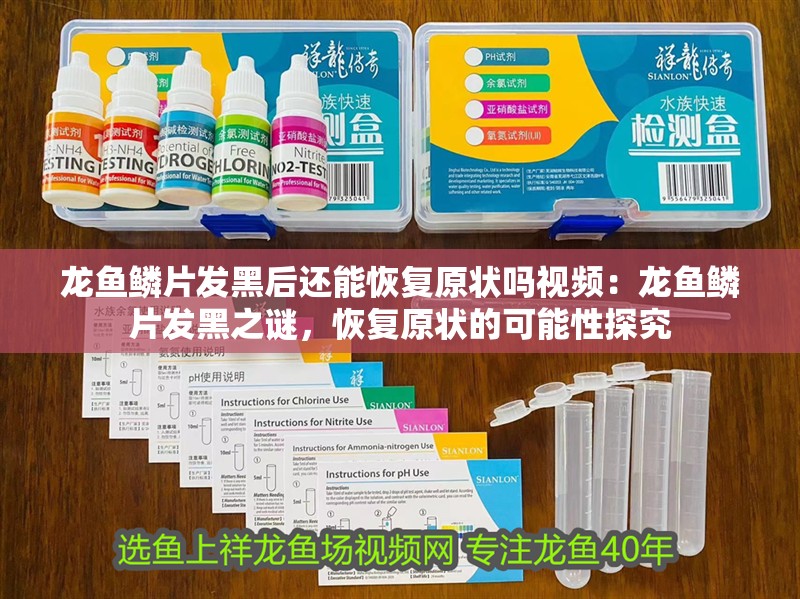 龍魚鱗片發黑后還能恢復原狀嗎視頻：龍魚鱗片發黑之謎，恢復原狀的可能性探究