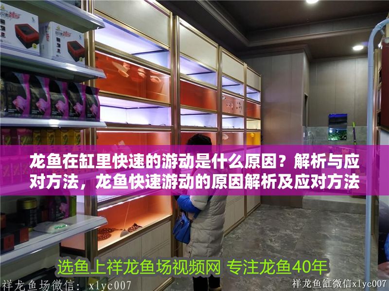 龍魚在缸里快速的游動是什么原因？解析與應對方法，龍魚快速游動的原因解析及應對方法