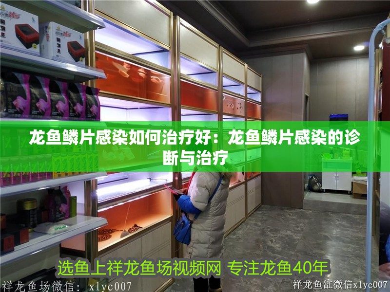龍魚鱗片感染如何治療好：龍魚鱗片感染的診斷與治療