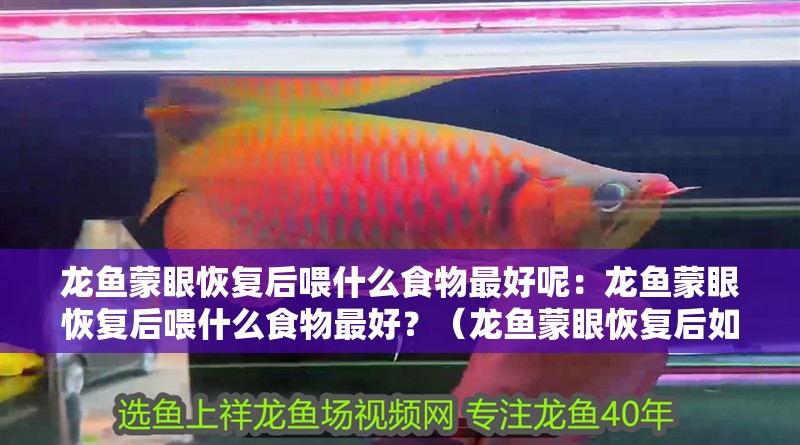 龍魚蒙眼恢復(fù)后喂什么食物最好呢：龍魚蒙眼恢復(fù)后喂什么食物最好？（龍魚蒙眼恢復(fù)后如何喂養(yǎng)）
