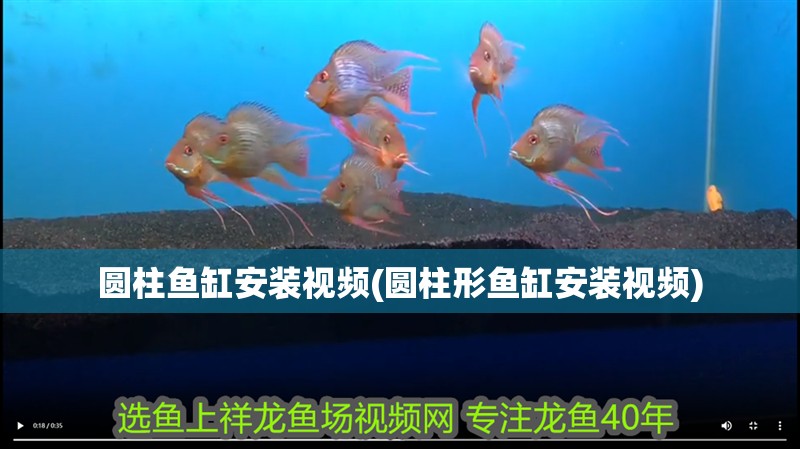 圓柱魚(yú)缸安裝視頻(圓柱形魚(yú)缸安裝視頻) 圓柱魚(yú)缸安裝視頻(圓柱形魚(yú)缸安裝視頻) 觀賞魚(yú)百科
