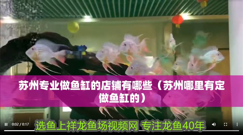 蘇州專業做魚缸的店鋪有哪些（蘇州哪里有定做魚缸的）