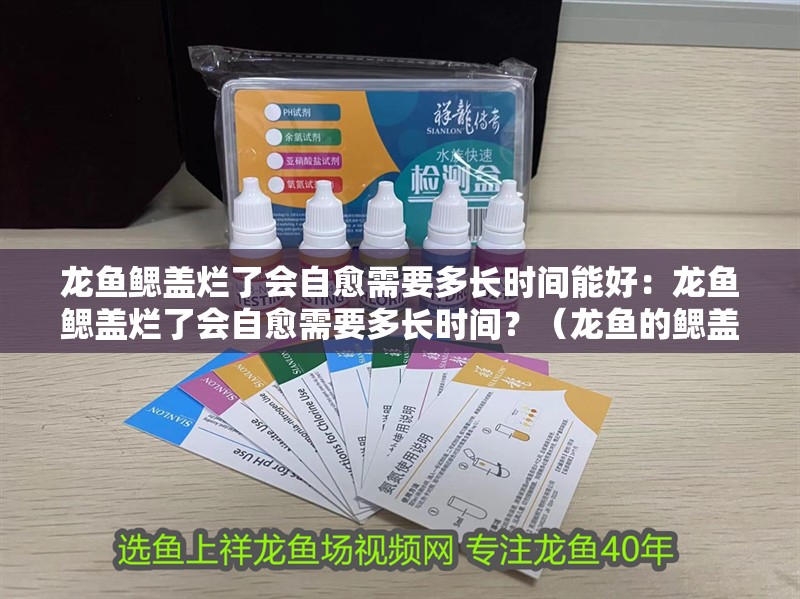 龍魚鰓蓋爛了會(huì)自愈需要多長時(shí)間能好：龍魚鰓蓋爛了會(huì)自愈需要多長時(shí)間？（龍魚的鰓蓋爛了會(huì)自愈嗎，）