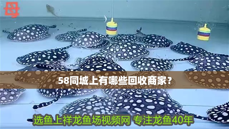 58同城上有哪些回收商家？