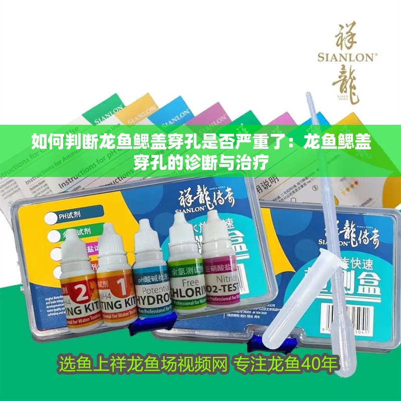 如何判斷龍魚鰓蓋穿孔是否嚴(yán)重了：龍魚鰓蓋穿孔的診斷與治療