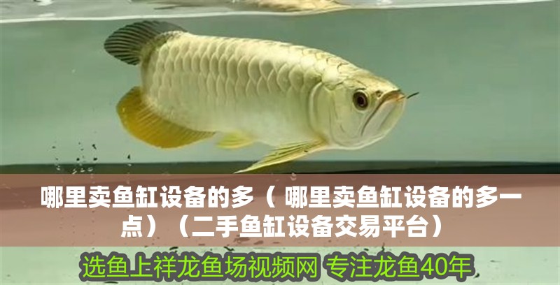 哪里賣魚缸設備的多（ 哪里賣魚缸設備的多一點）（二手魚缸設備交易平臺）