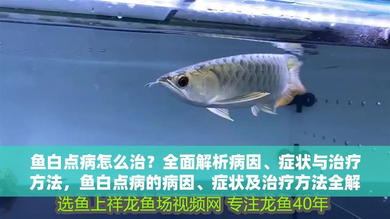 魚白點病怎么治？全面解析病因、癥狀與治療方法，魚白點病的病因、癥狀及治療方法全解析