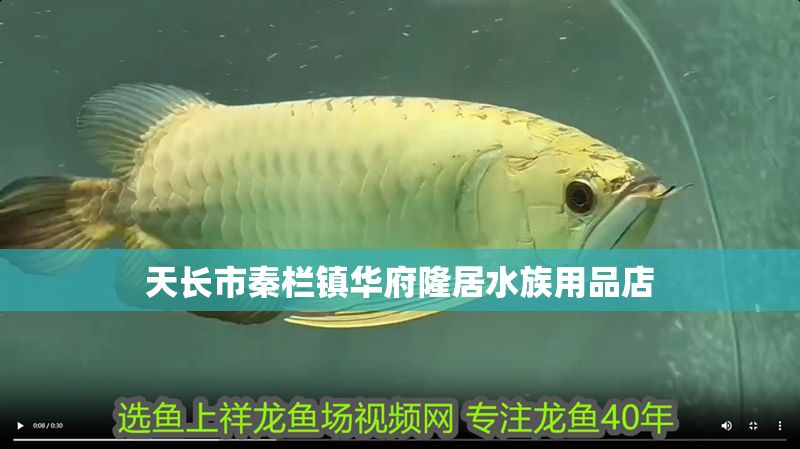 天長市秦欄鎮(zhèn)華府隆居水族用品店