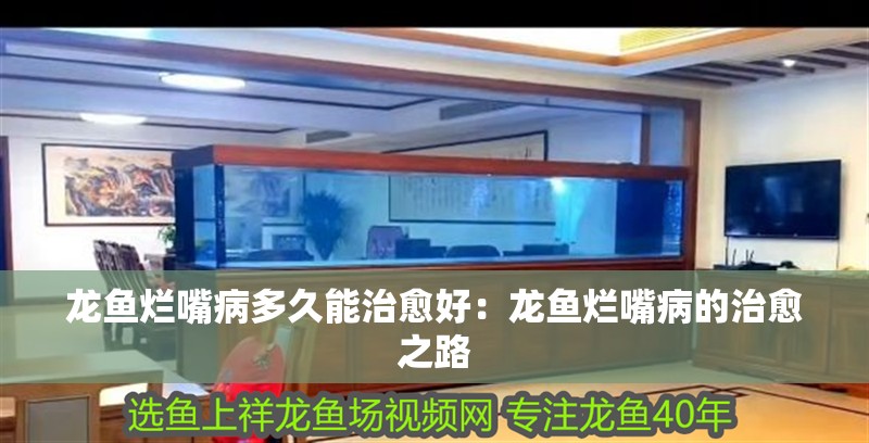 龍魚爛嘴病多久能治愈好：龍魚爛嘴病的治愈之路