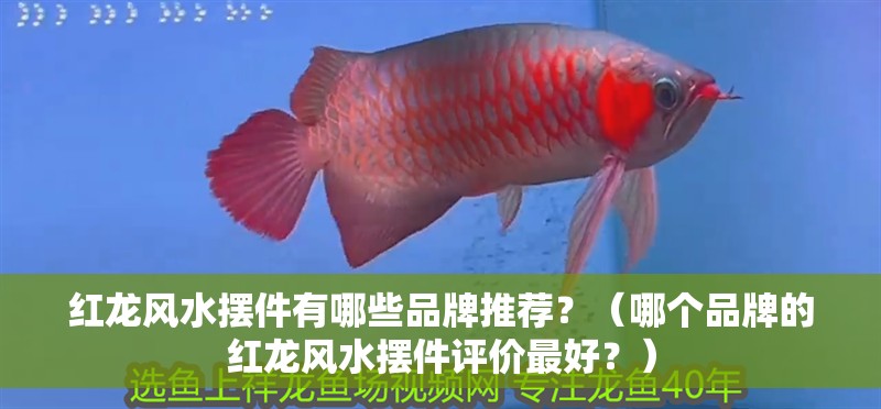 紅龍風水擺件有哪些品牌推薦？（哪個品牌的紅龍風水擺件評價最好？）