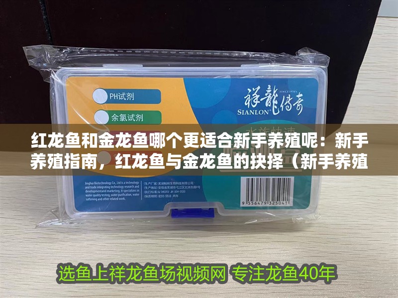 紅龍魚和金龍魚哪個更適合新手養(yǎng)殖呢：新手養(yǎng)殖指南，紅龍魚與金龍魚的抉擇（新手養(yǎng)殖紅龍魚和金龍魚，新手養(yǎng)殖紅龍魚需要考慮哪些因素）