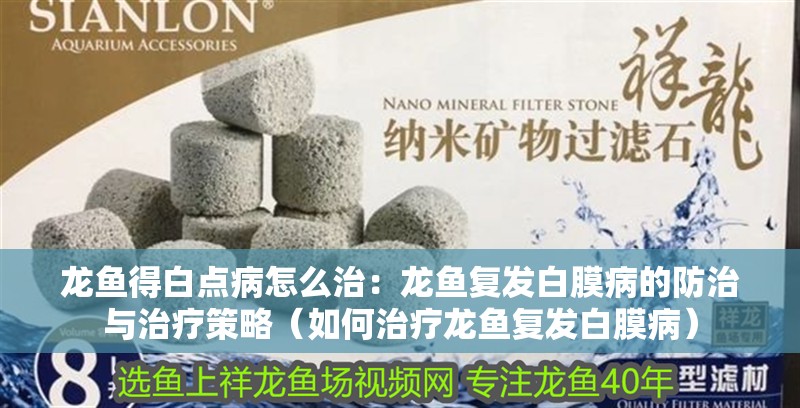 龍魚得白點病怎么治：龍魚復發白膜病的防治與治療策略（如何治療龍魚復發白膜病）