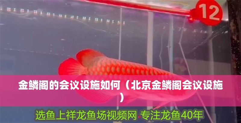 金鱗閣的會議設(shè)施如何（北京金鱗閣會議設(shè)施）