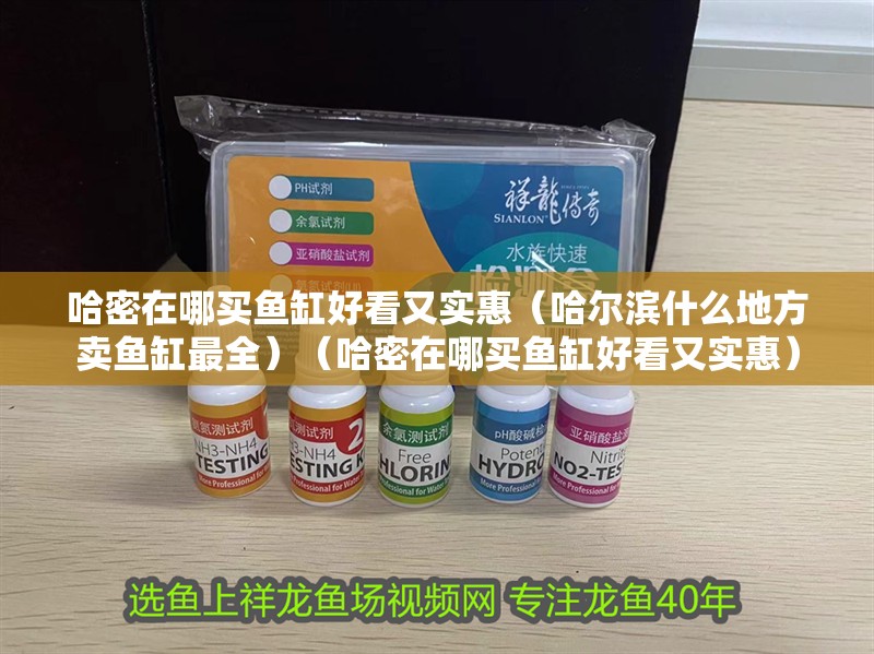 <strong><mark>哈密</mark></strong>在哪買魚缸好看又實(shí)惠（哈爾濱什么地方賣魚缸最全）（<strong><mark>哈密</mark></strong>在哪買魚缸好看又實(shí)惠）