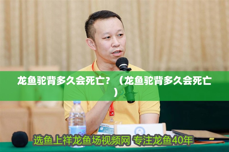 龍魚駝背多久會死亡？（龍魚駝背多久會死亡）