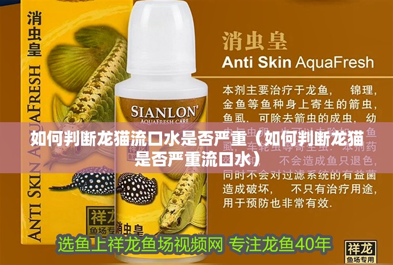 如何判斷龍貓流口水是否嚴重（如何判斷龍貓是否嚴重流口水）