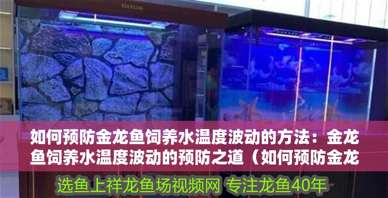 如何預防金龍魚飼養水溫度波動的方法：金龍魚飼養水溫度波動的預防之道（如何預防金龍魚水溫波動）