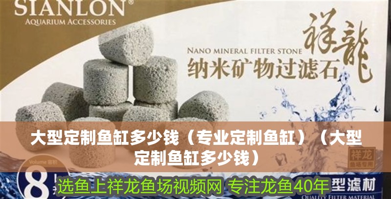 大型定制魚缸多少錢（專業定制魚缸）（大型定制魚缸多少錢）