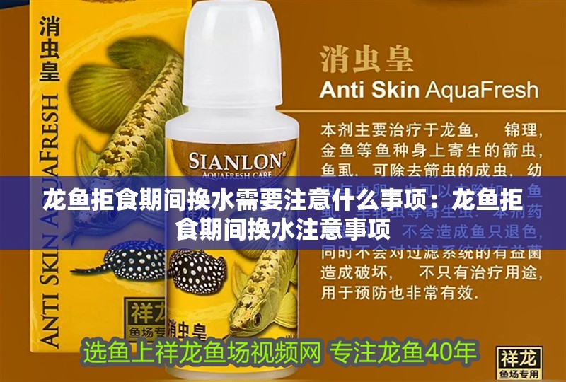 龍魚拒食期間換水需要注意什么事項(xiàng)：龍魚拒食期間換水注意事項(xiàng)