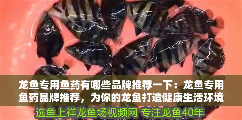 龍魚專用魚藥有哪些品牌推薦一下：龍魚專用魚藥品牌推薦，為你的龍魚打造健康生活環(huán)境 龍魚專用魚藥有哪些品牌推薦一下：龍魚專用魚藥品牌推薦，為你的龍魚打造健康生活環(huán)境 水族問答