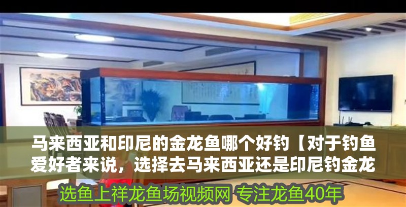 馬來西亞和印尼的金龍魚哪個好釣【對于釣魚愛好者來說，選擇去馬來西亞還是印尼釣金龍魚更合適？】