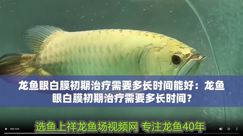 龍魚眼白膜初期治療需要多長時間能好：龍魚眼白膜初期治療需要多長時間？