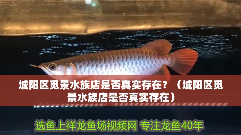 城陽區覓景水族店是否真實存在？（城陽區覓景水族店是否真實存在）