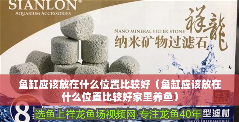 魚缸應該放在什么位置比較好（魚缸應該放在什么位置比較好家里養魚）