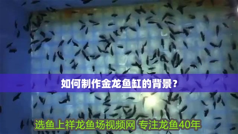 如何制作金龍魚缸的背景？