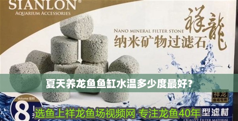 夏天養龍魚魚缸水溫多少度最好？ 夏天養龍魚魚缸水溫多少度最好？ 觀賞魚百科