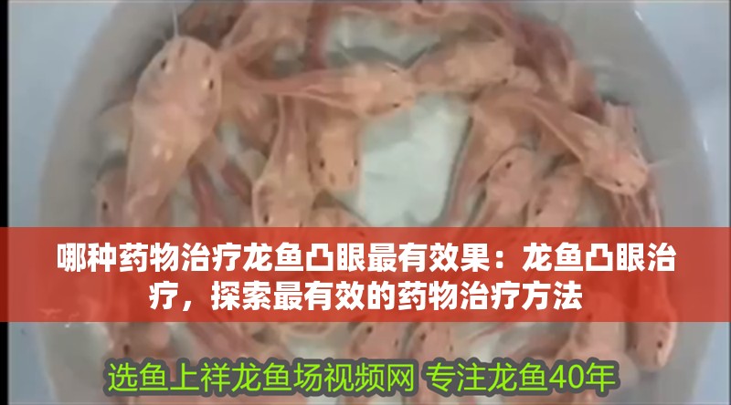 哪種藥物治療龍魚凸眼最有效果：龍魚凸眼治療，探索最有效的藥物治療方法