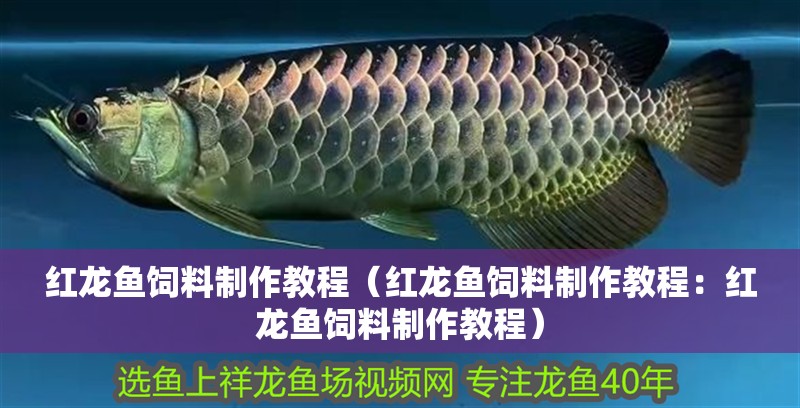 紅龍魚飼料制作教程（紅龍魚飼料制作教程：紅龍魚飼料制作教程）
