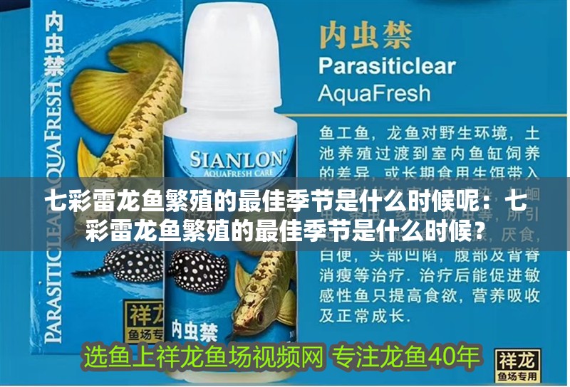 七彩雷龍魚繁殖的最佳季節(jié)是什么時(shí)候呢：七彩雷龍魚繁殖的最佳季節(jié)是什么時(shí)候？