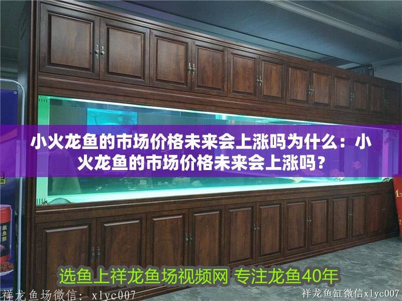 小火龍魚的市場價格未來會上漲嗎為什么：小火龍魚的市場價格未來會上漲嗎？