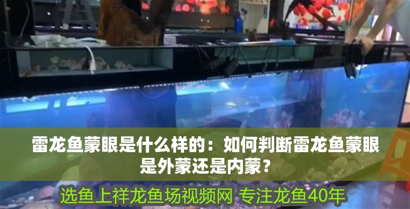 雷龍魚蒙眼是什么樣的：如何判斷雷龍魚蒙眼是外蒙還是內蒙？
