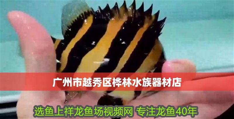 廣州市越秀區樺林<strong><mark>水族器材</mark></strong>店