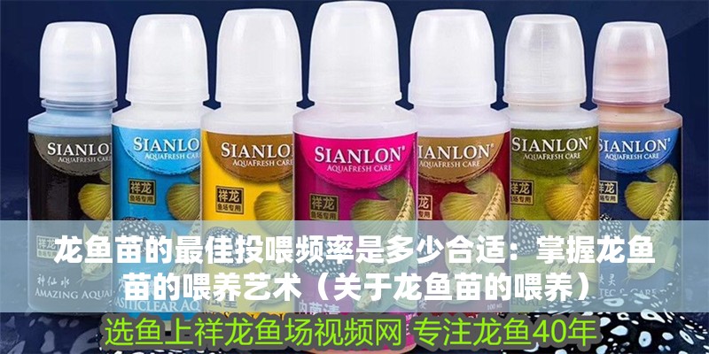 龍魚苗的最佳投喂頻率是多少合適：掌握龍魚苗的喂養(yǎng)藝術(shù)（關(guān)于龍魚苗的喂養(yǎng)） 龍魚苗的最佳投喂頻率是多少合適：掌握龍魚苗的喂養(yǎng)藝術(shù)（關(guān)于龍魚苗的喂養(yǎng)） 水族問答