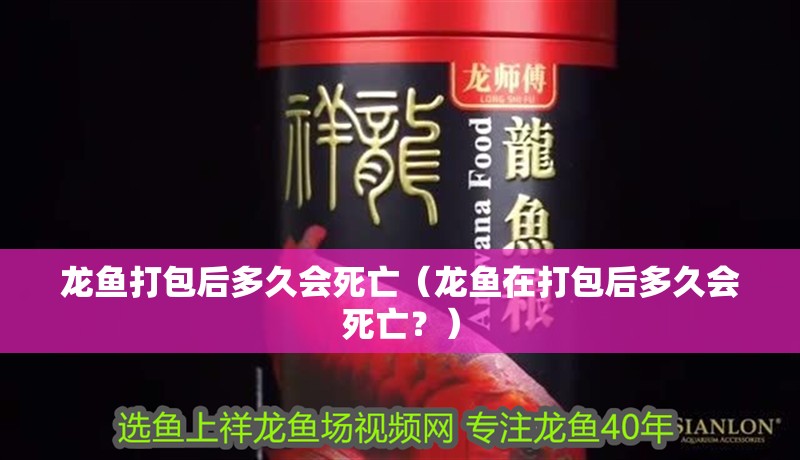 魚缸用增氧泵價格是多少:魚缸增氧機-xtrac增氧機-xtrac增氧機 龍魚打包后多久會死亡(龍魚在打包后多久會死亡?) 龍魚百科 龍魚打包后多久會死亡(龍魚在打包后多久會死亡?) 龍魚打包后多久會死亡(龍魚在打包后多久會死亡?) 龍魚百科