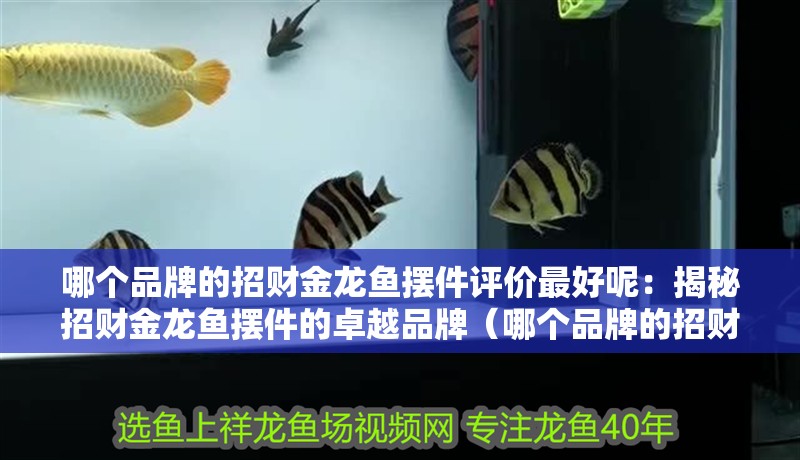哪個品牌的招財金龍魚擺件評價最好呢：揭秘招財金龍魚擺件的卓越品牌（哪個品牌的招財金龍魚擺件評價最好的招財金龍魚擺件）