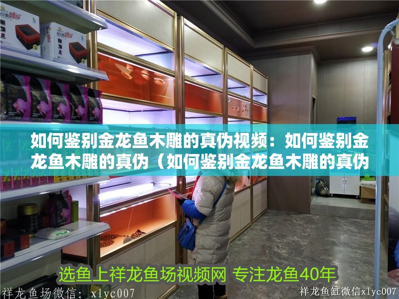 如何鑒別金龍魚木雕的真偽視頻：如何鑒別金龍魚木雕的真偽（如何鑒別金龍魚木雕的真偽）