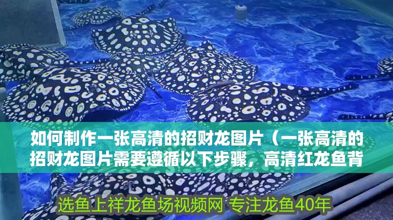 如何制作一張高清的招財龍圖片（一張高清的招財龍圖片需要遵循以下步驟，高清紅龍魚背景圖）