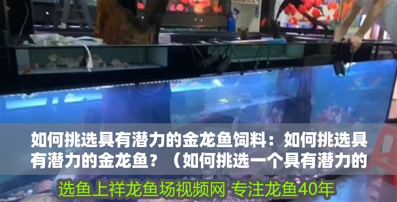 如何挑選具有潛力的金龍魚飼料：如何挑選具有潛力的金龍魚？（如何挑選一個具有潛力的金龍魚）