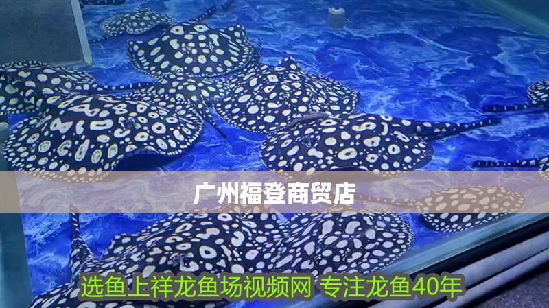 廣州福登商貿店