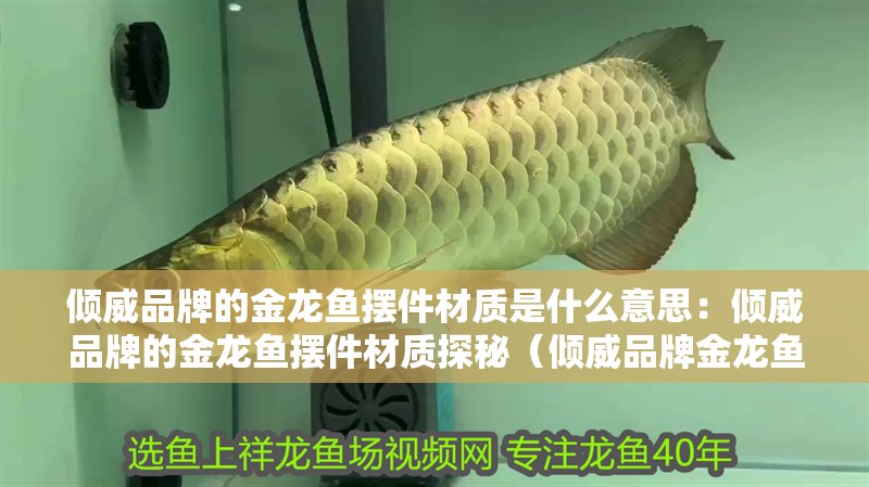 傾威品牌的金龍魚(yú)擺件材質(zhì)是什么意思：傾威品牌的金龍魚(yú)擺件材質(zhì)探秘（傾威品牌金龍魚(yú)擺件材質(zhì)解析金龍魚(yú)擺件的材質(zhì)解析）