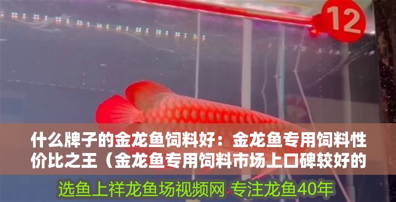 什么牌子的金龍魚飼料好：金龍魚專用飼料性價比之王（金龍魚專用飼料市場上口碑較好的金龍魚專用飼料市場概述）