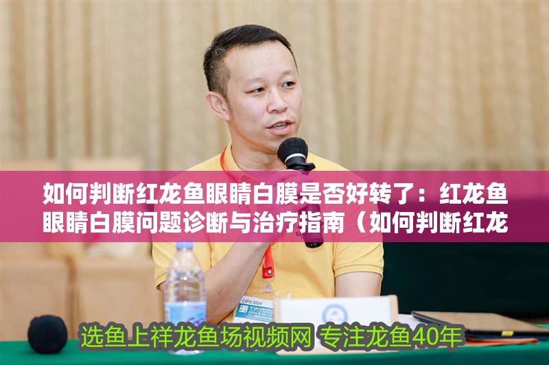 如何判斷紅龍魚眼睛白膜是否好轉(zhuǎn)了：紅龍魚眼睛白膜問題診斷與治療指南（如何判斷紅龍魚的眼睛白膜是否好轉(zhuǎn)） 如何判斷紅龍魚眼睛白膜是否好轉(zhuǎn)了：紅龍魚眼睛白膜問題診斷與治療指南（如何判斷紅龍魚的眼睛白膜是否好轉(zhuǎn)） 水族問答