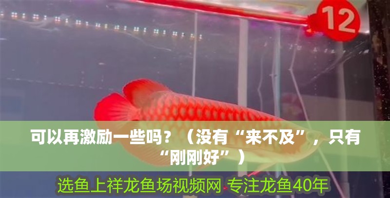 可以再激勵一些嗎？（沒有“來不及”，只有“剛剛好”）