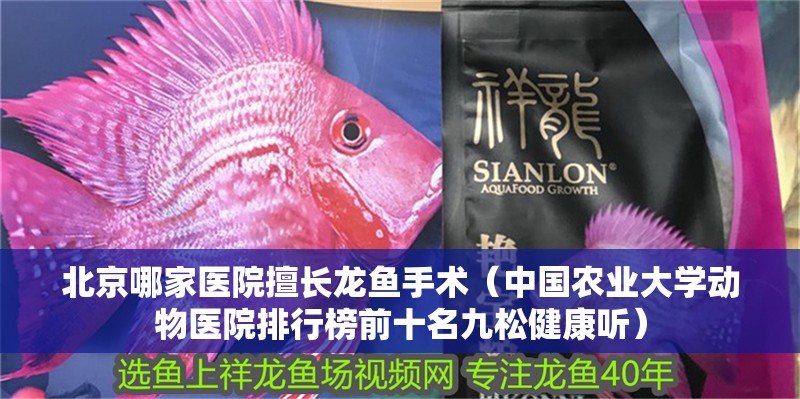 北京哪家醫院擅長龍魚手術（中國農業大學動物醫院排行榜前十名九松健康聽） 北京哪家醫院擅長龍魚手術（中國農業大學動物醫院排行榜前十名九松健康聽） 龍魚百科