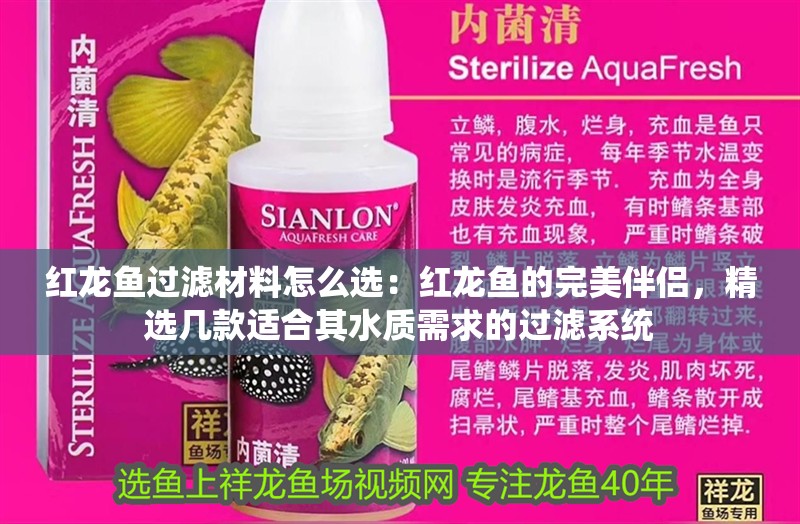 紅龍魚過濾材料怎么選：紅龍魚的完美伴侶，精選幾款適合其水質(zhì)需求的過濾系統(tǒng) 紅龍魚過濾材料怎么選：紅龍魚的完美伴侶，精選幾款適合其水質(zhì)需求的過濾系統(tǒng) 水族問答